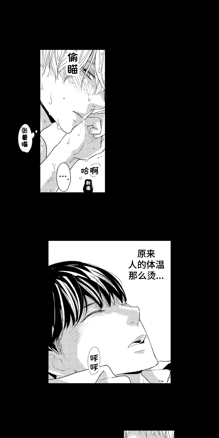 第25章：【番外】了解13
