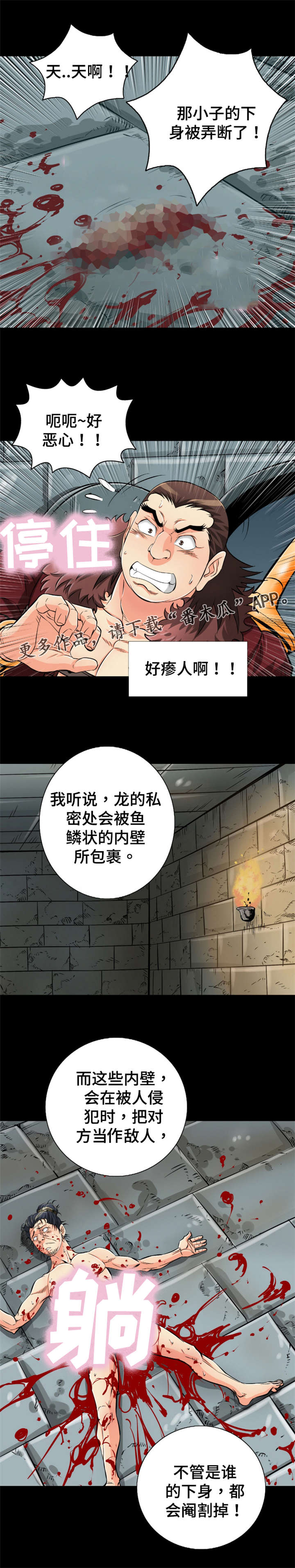 第61章：没尾巴的龙10