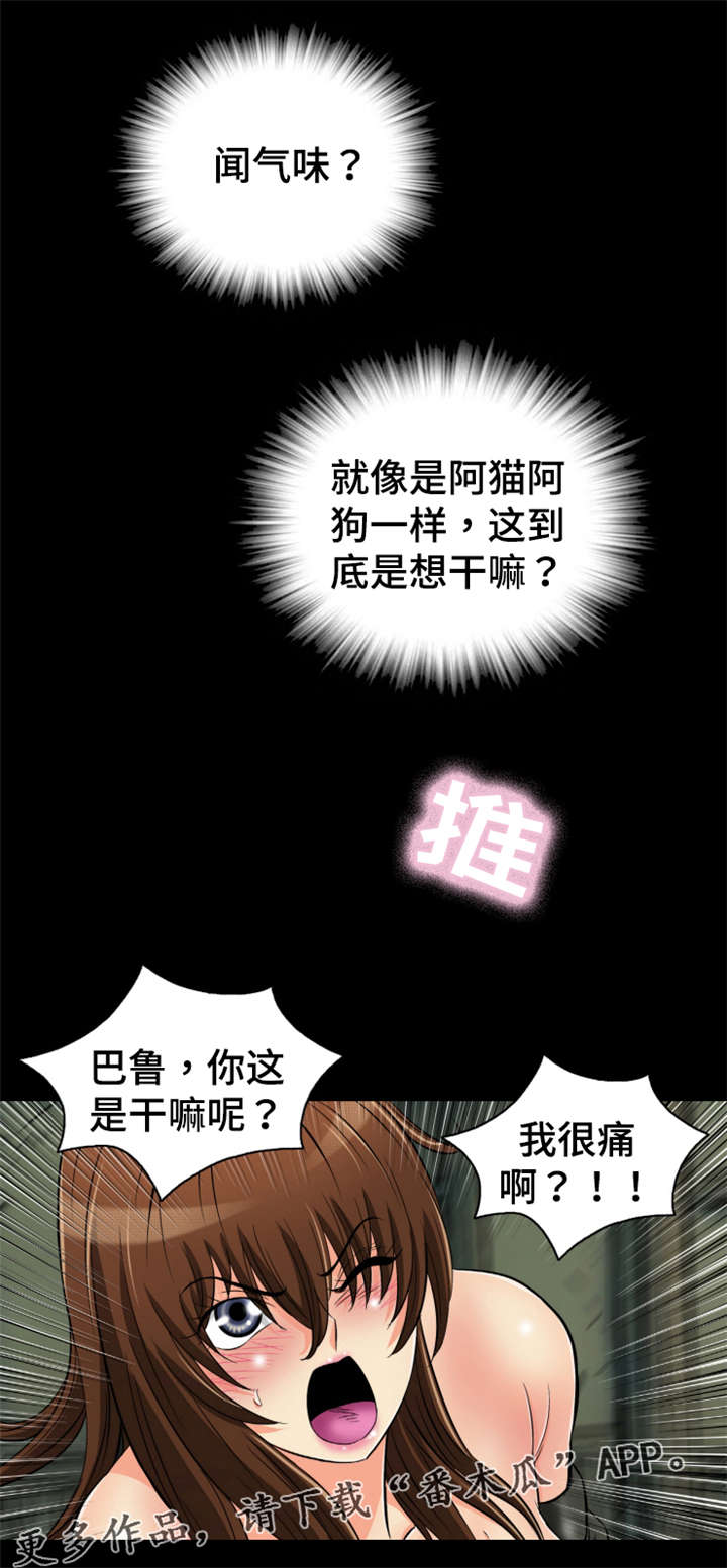 第70章：心上人14