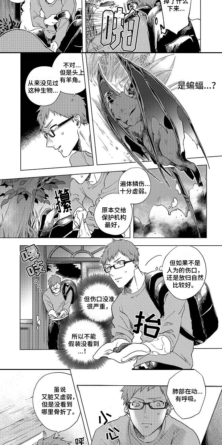 第1章：天使与恶魔7
