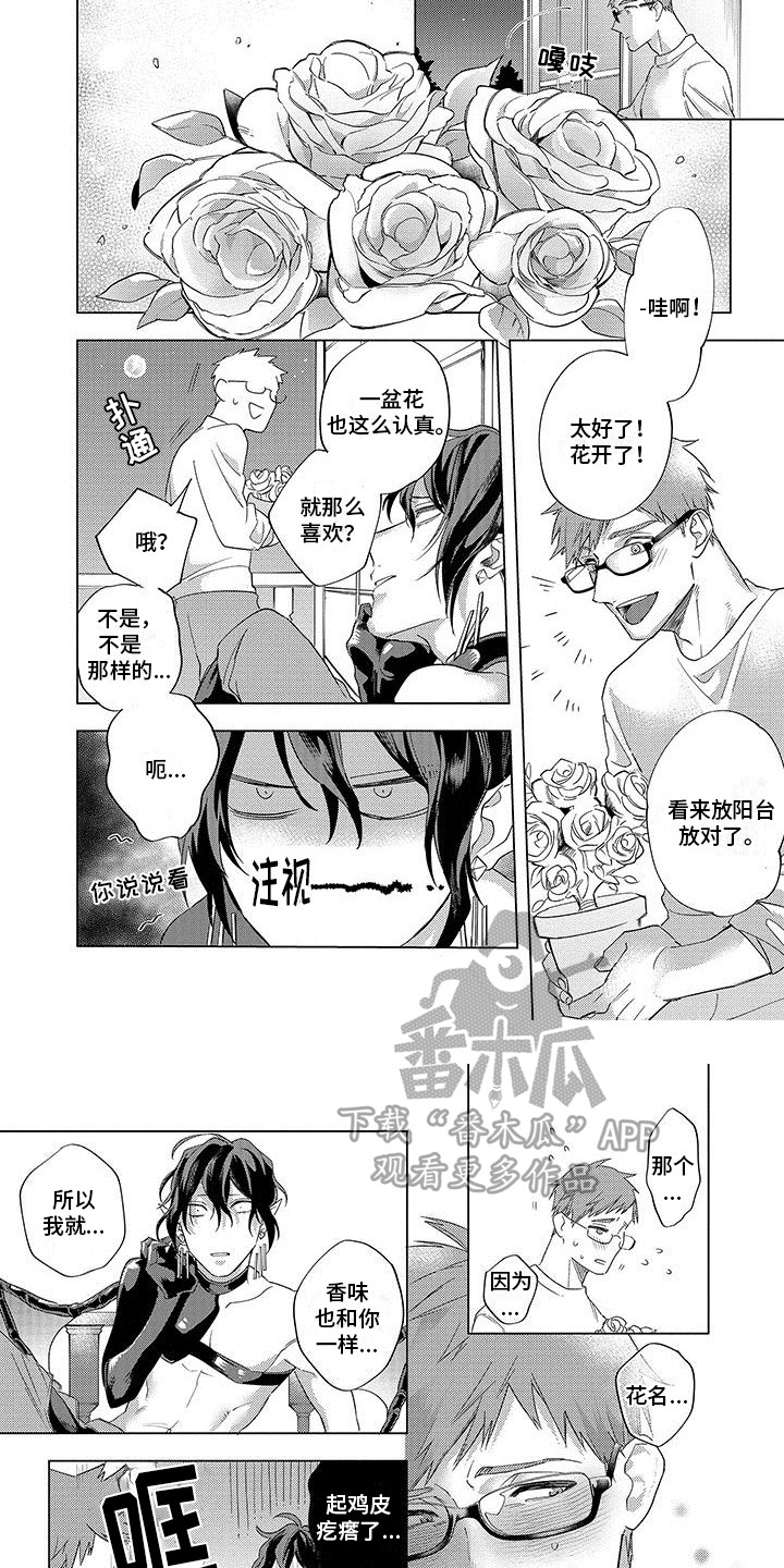 第15章：开花了6