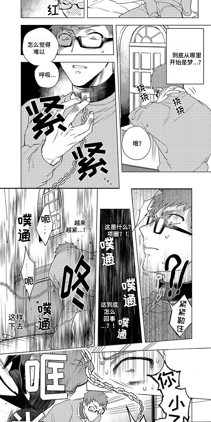 第3章：项圈1