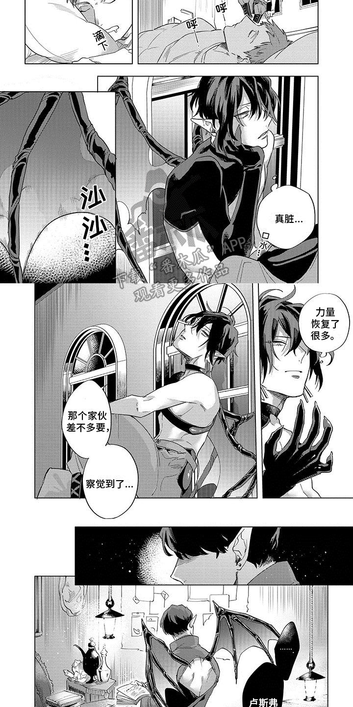 第13章：珍稀6