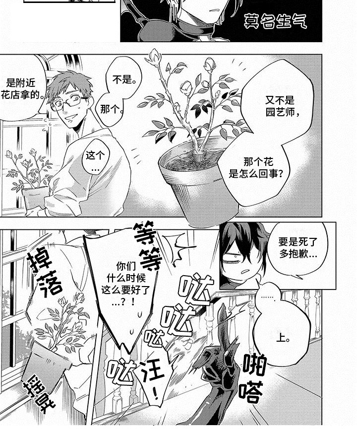 第13章：珍稀8