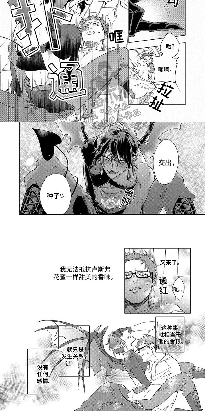 第6章：逐渐习惯5