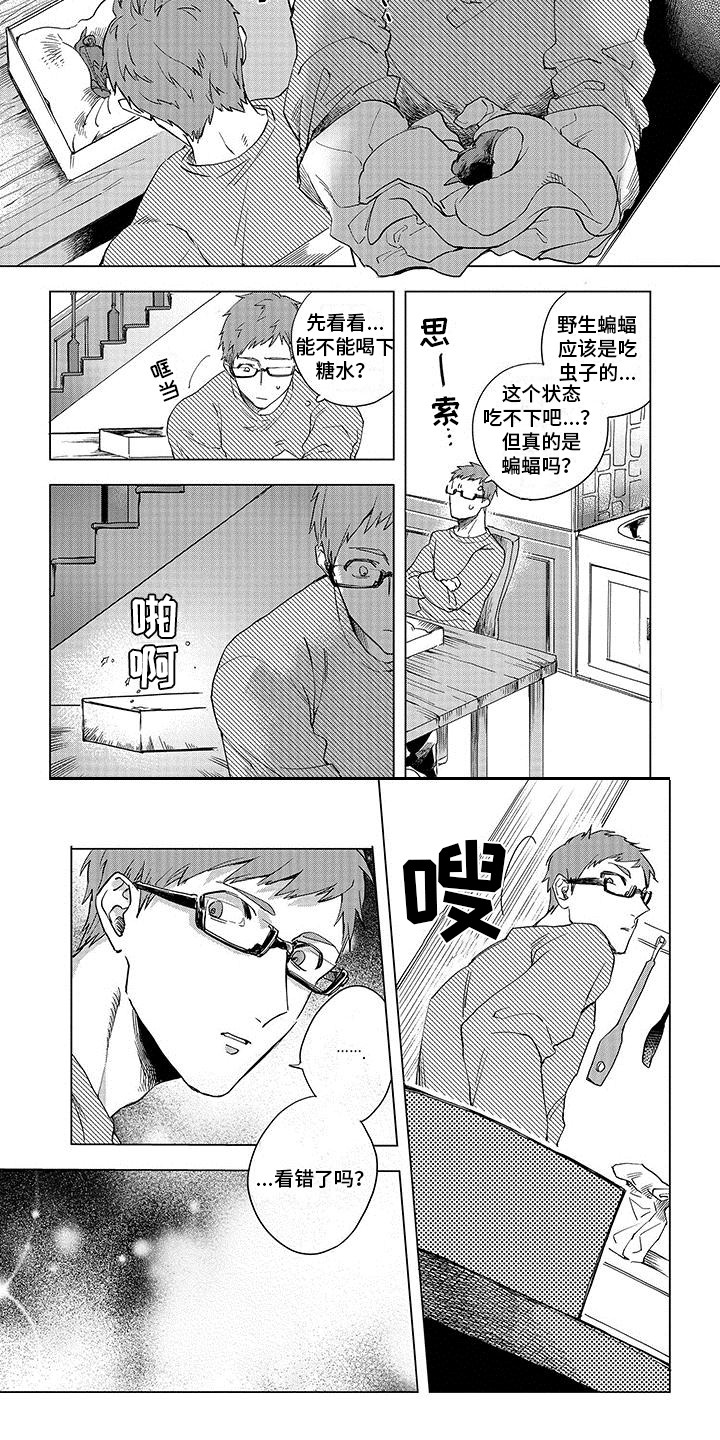 第1章：天使与恶魔8