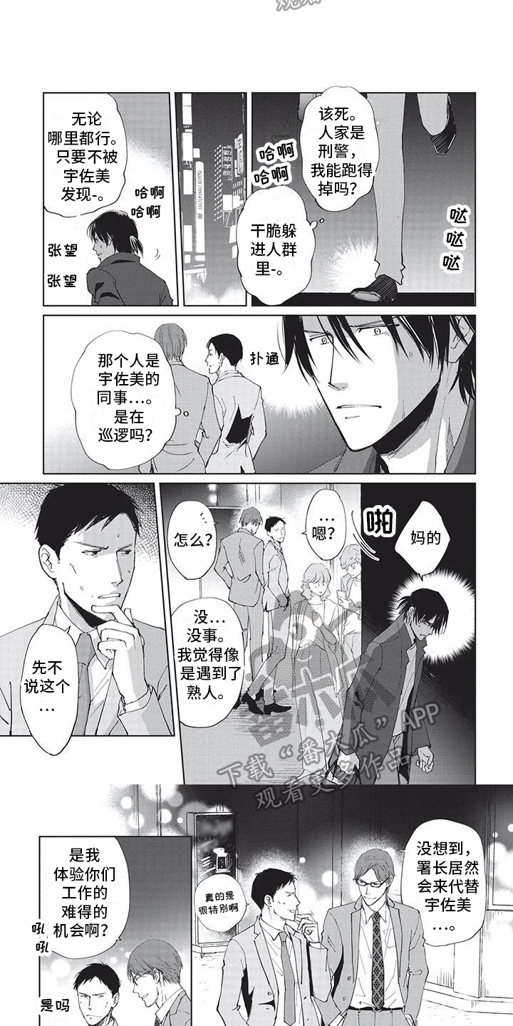 第34章：寻找5