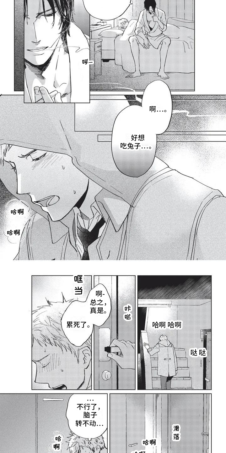 第1章：兔子6