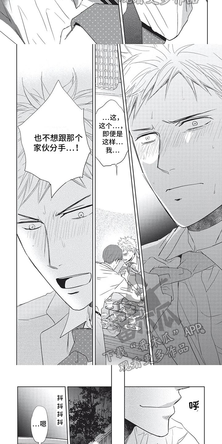 第30章：了解5