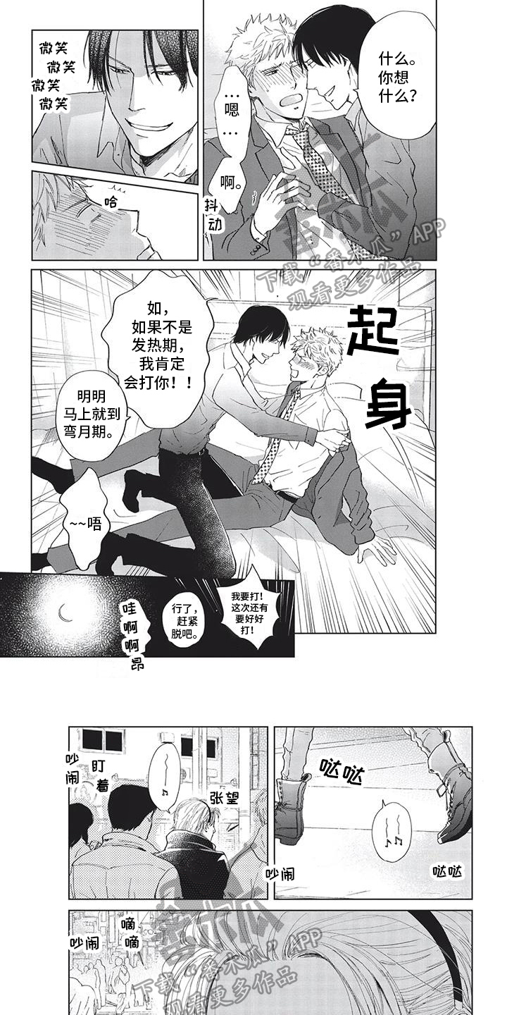 第11章：想法5