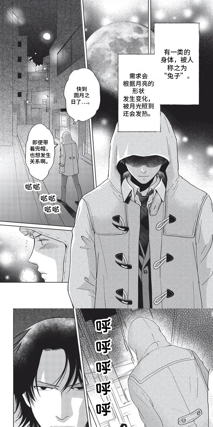 第1章：兔子0