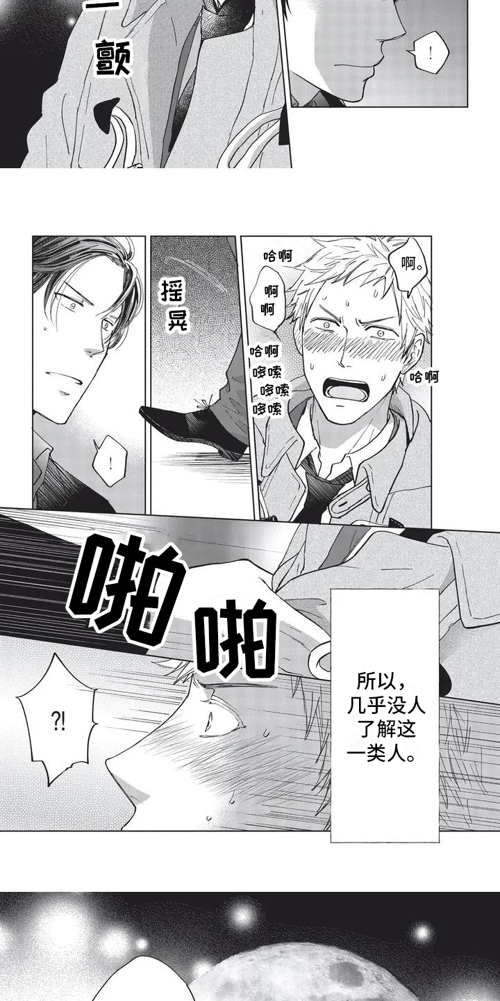 第1章：兔子2