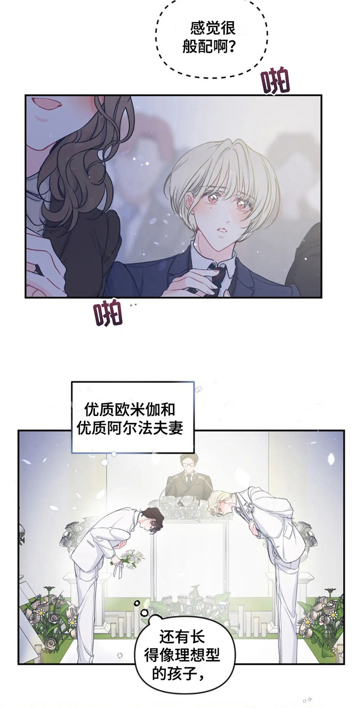 第1章：婚礼14