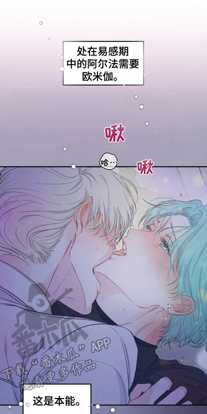 第8章：机会 7