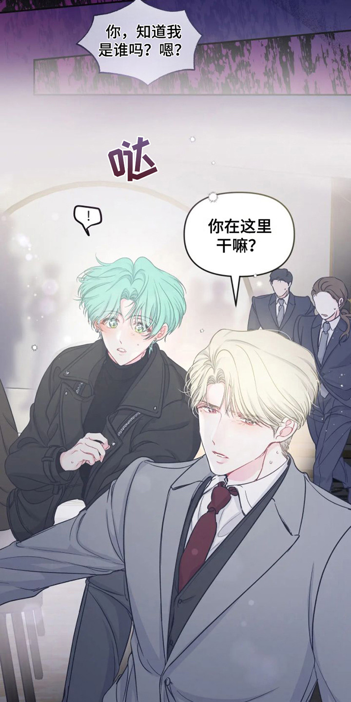 第6章：完美型5