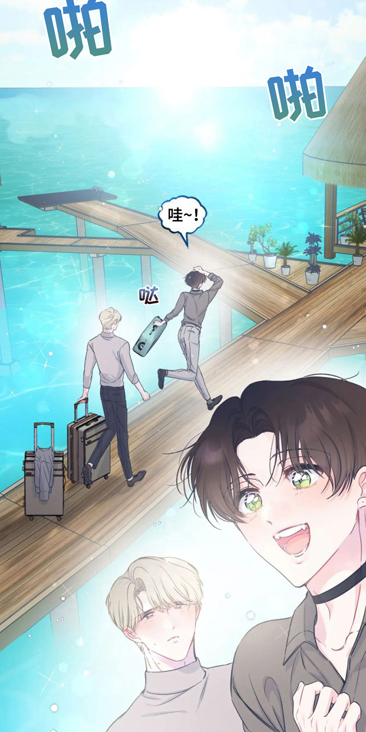第14章：新婚旅行10