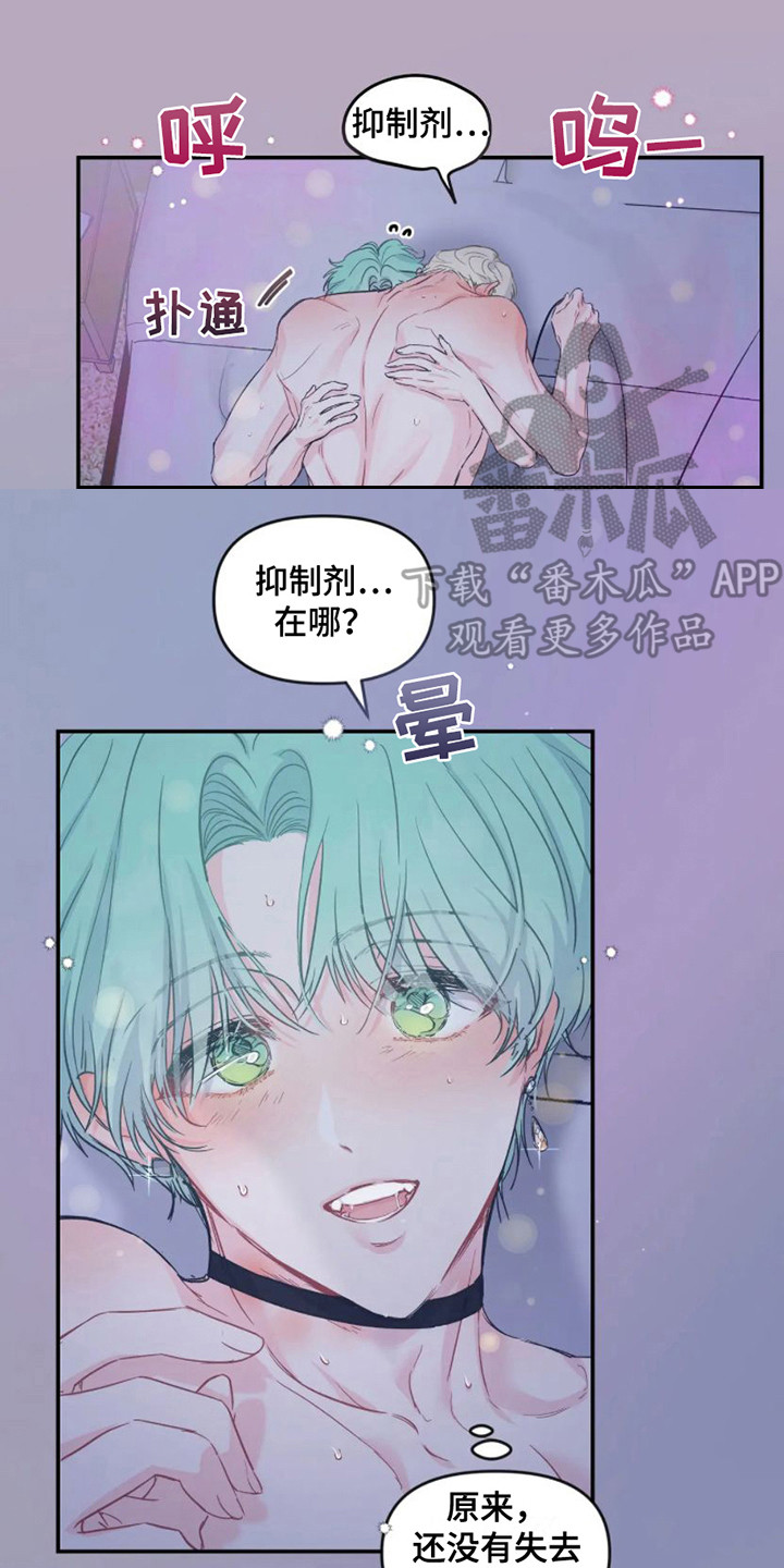 第8章：机会 13