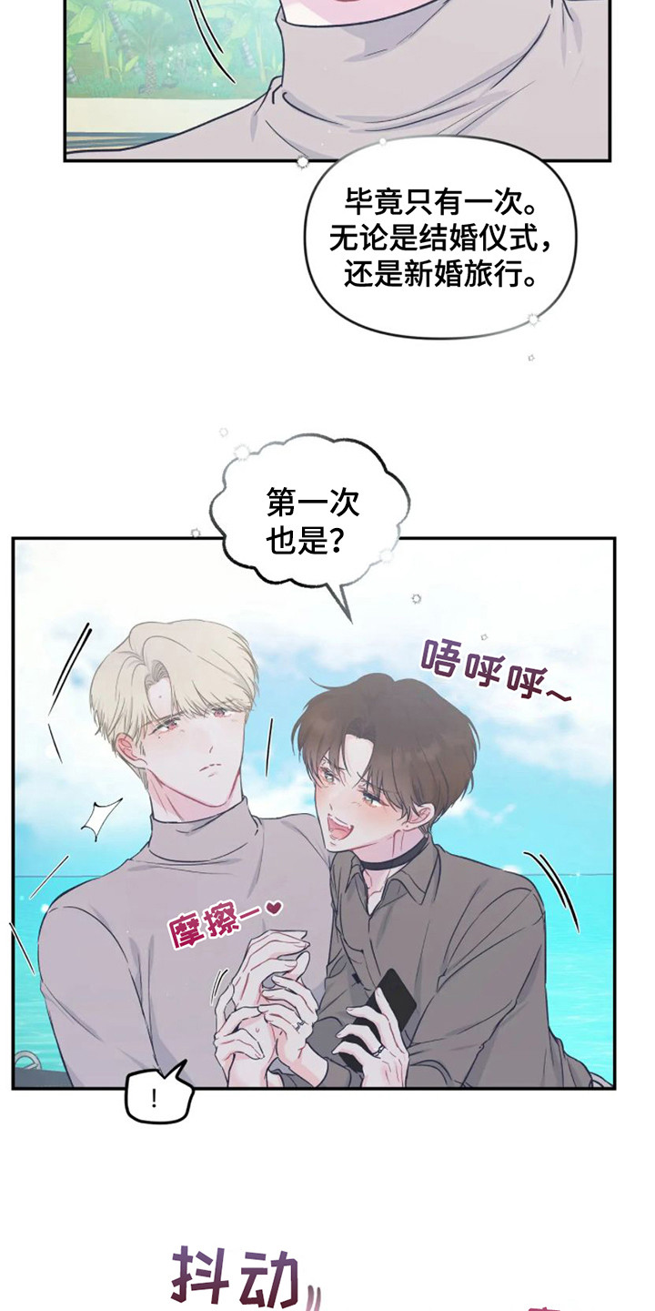 第14章：新婚旅行18