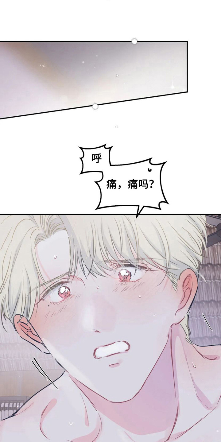 第19章：准备好了 14