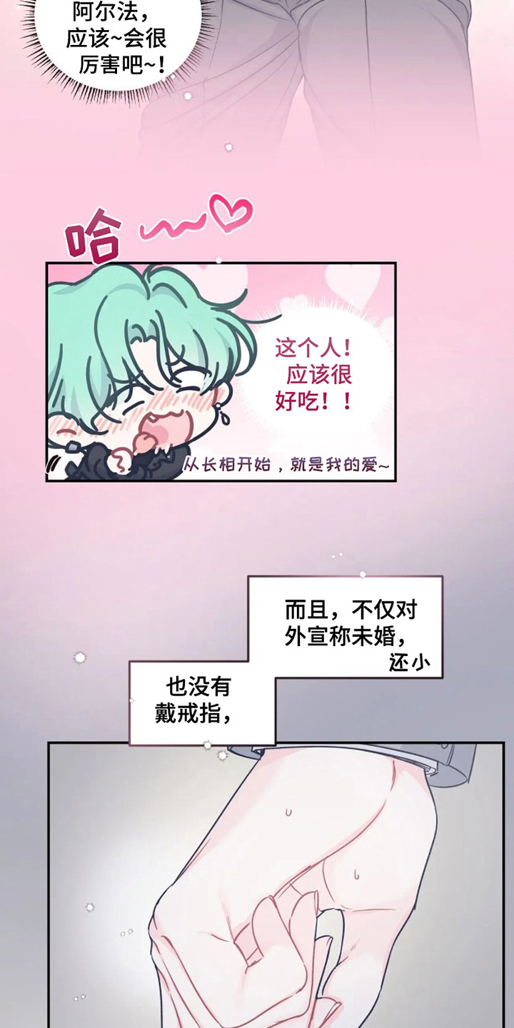 第6章：完美型12
