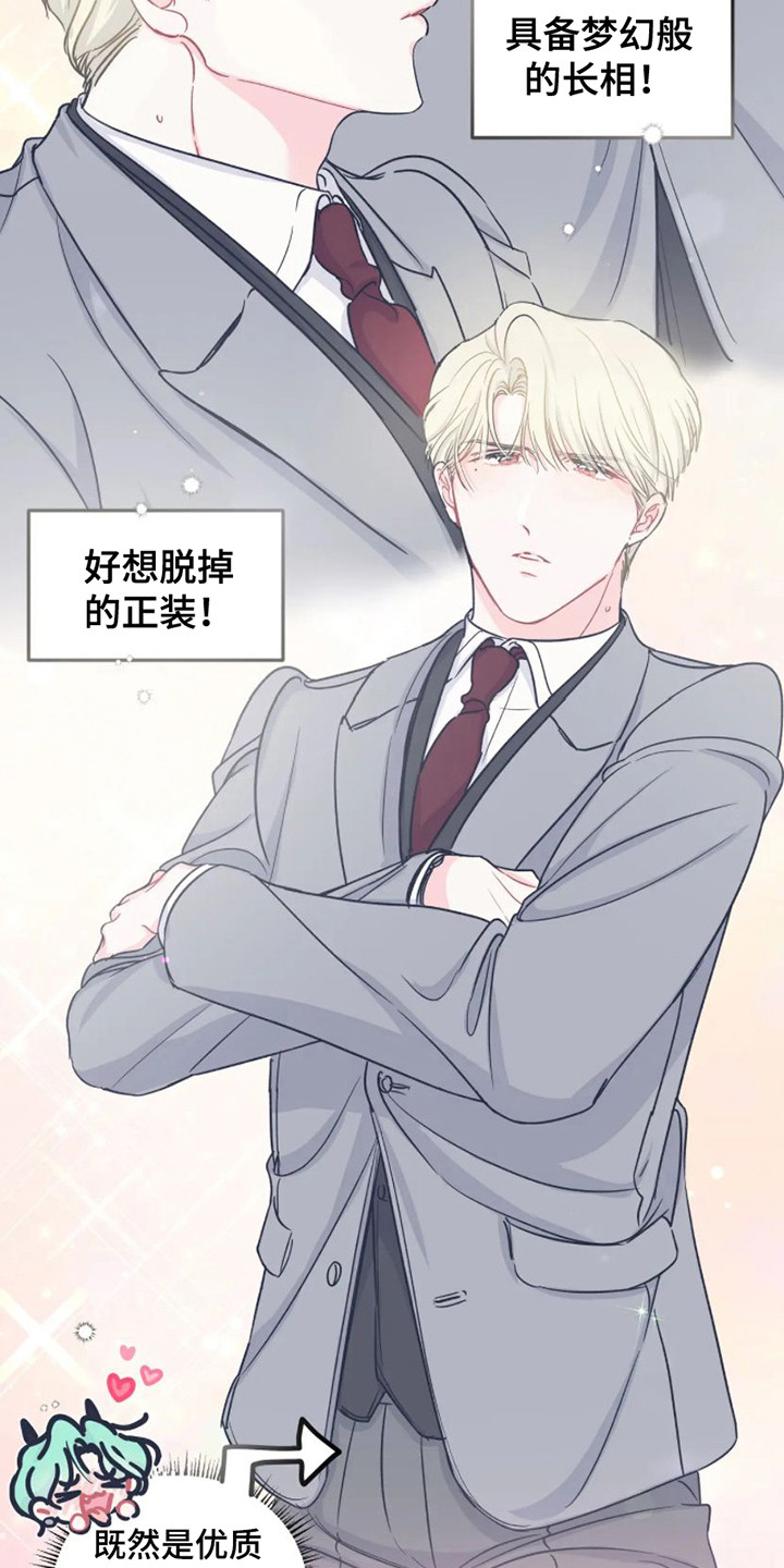 第6章：完美型11
