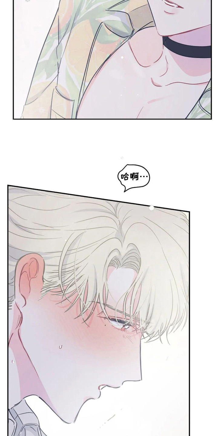 第19章：准备好了 6