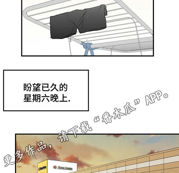 第34章：完美计划3