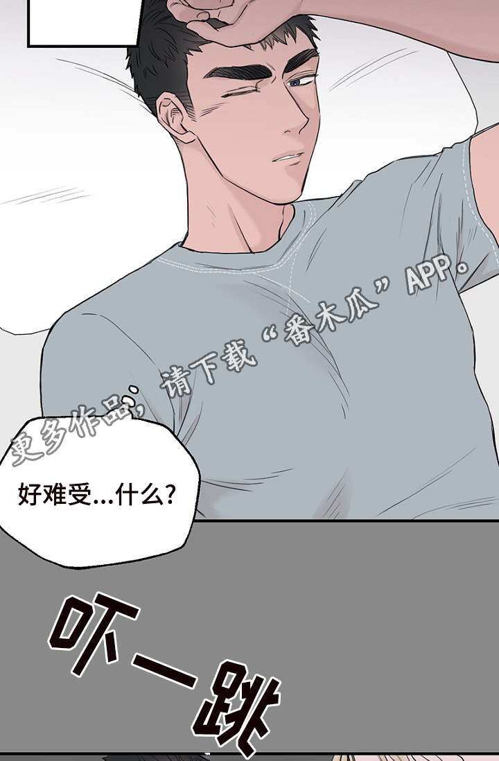 第32章：新一轮的计划27