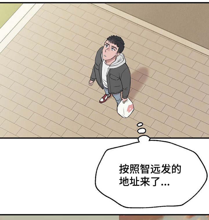 第34章：完美计划8
