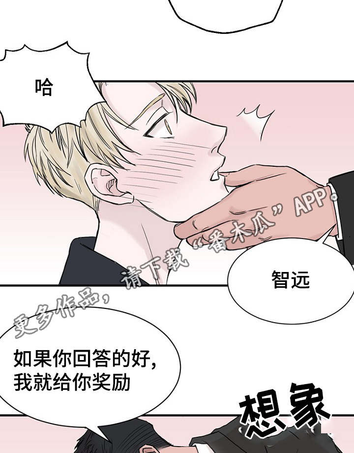 第27章：一起逛街18