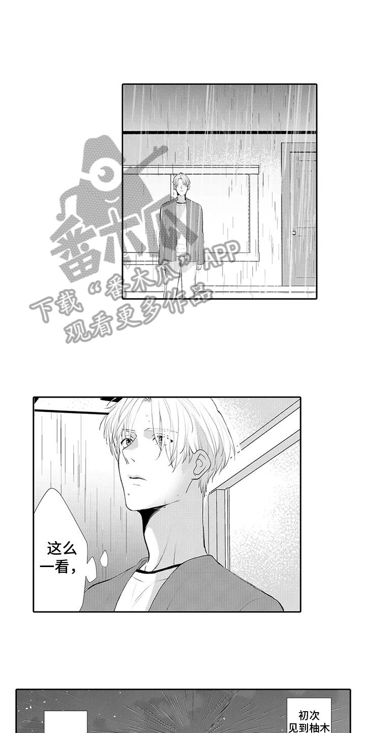 第17章：下雨10