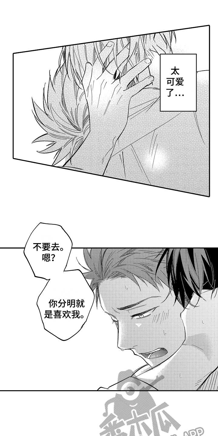 第7章：口是心非13