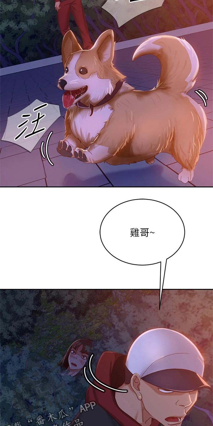 第62章：惊险7