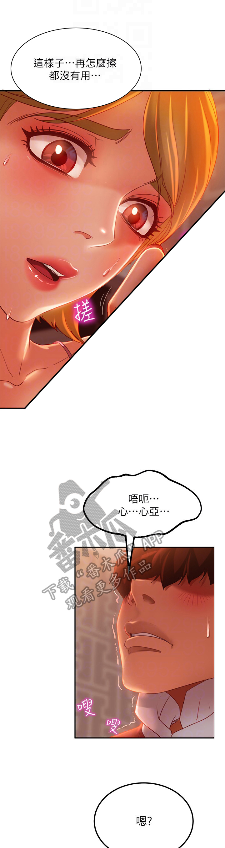 第18章：交换条件1