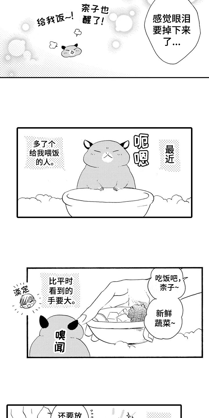 第25章：【番外】美梦成真8