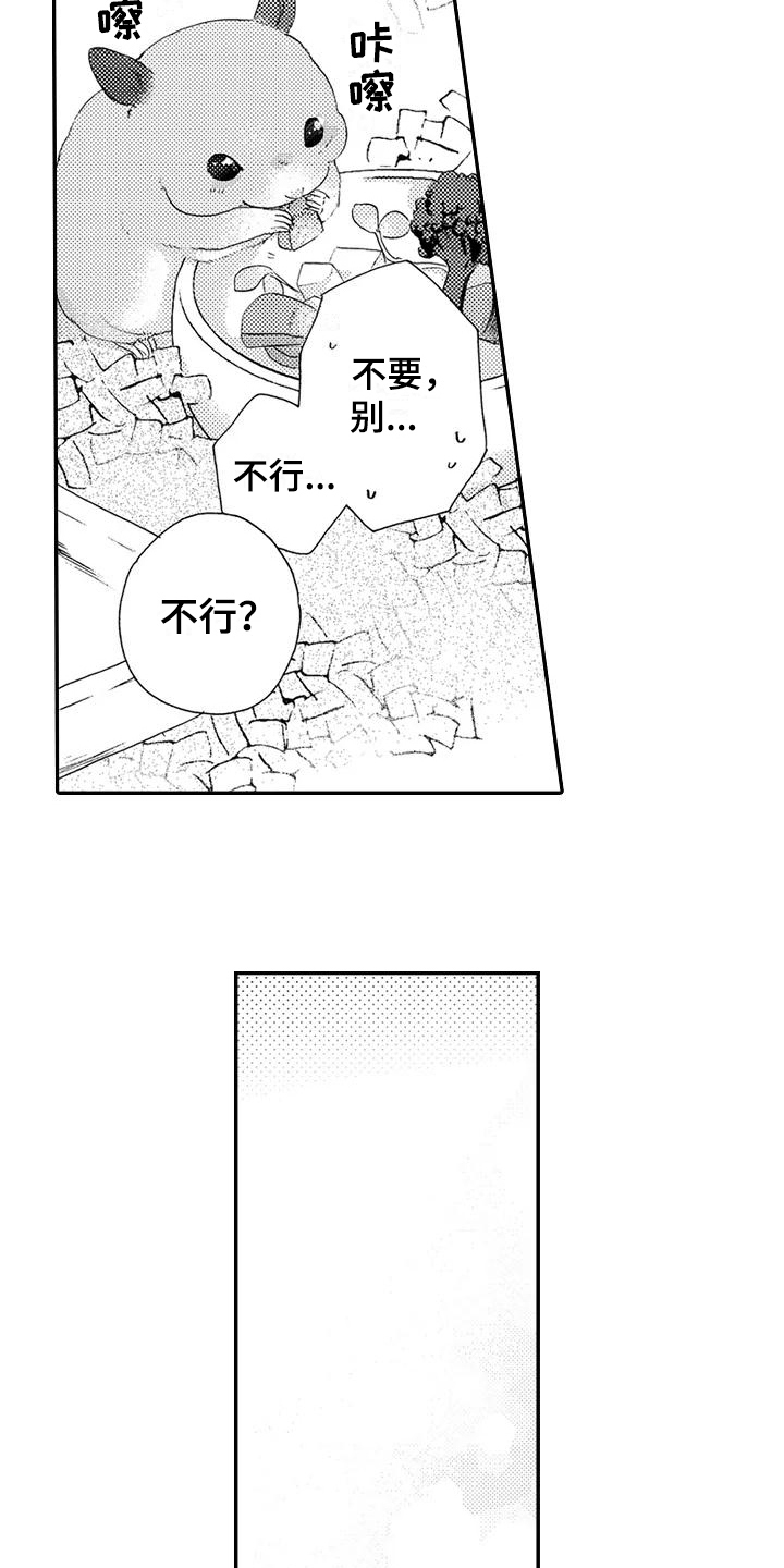第24章：期待【完结】2