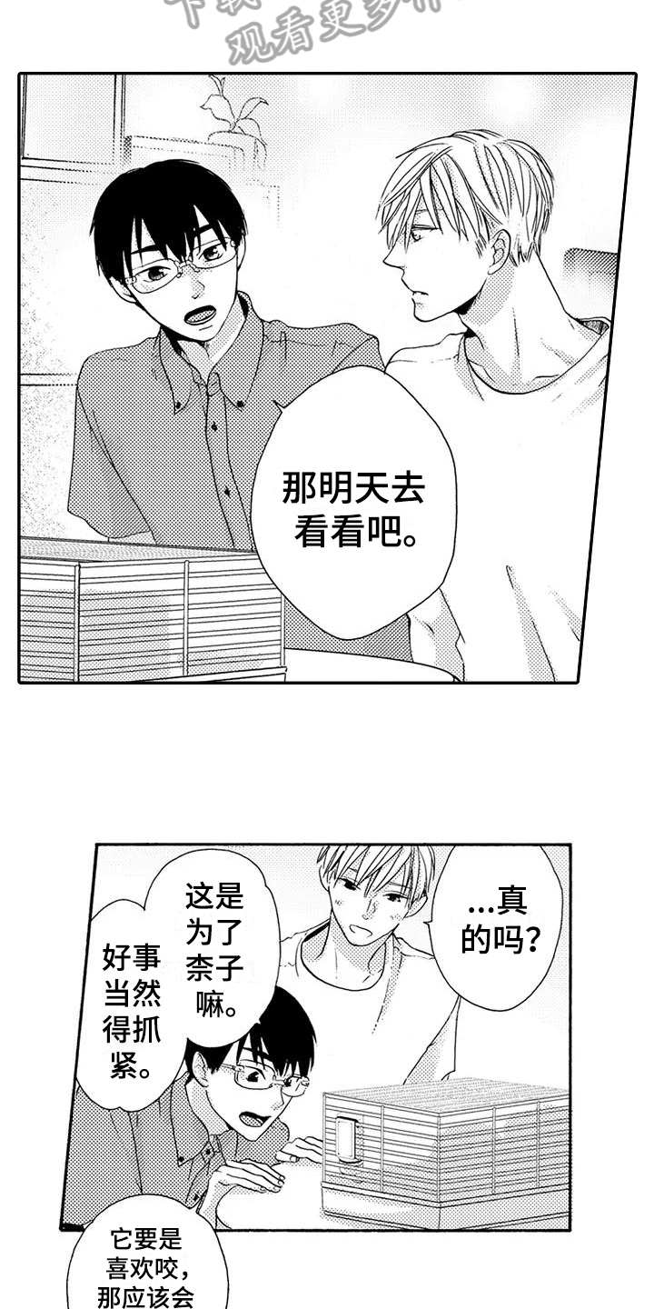 第18章：做饭12