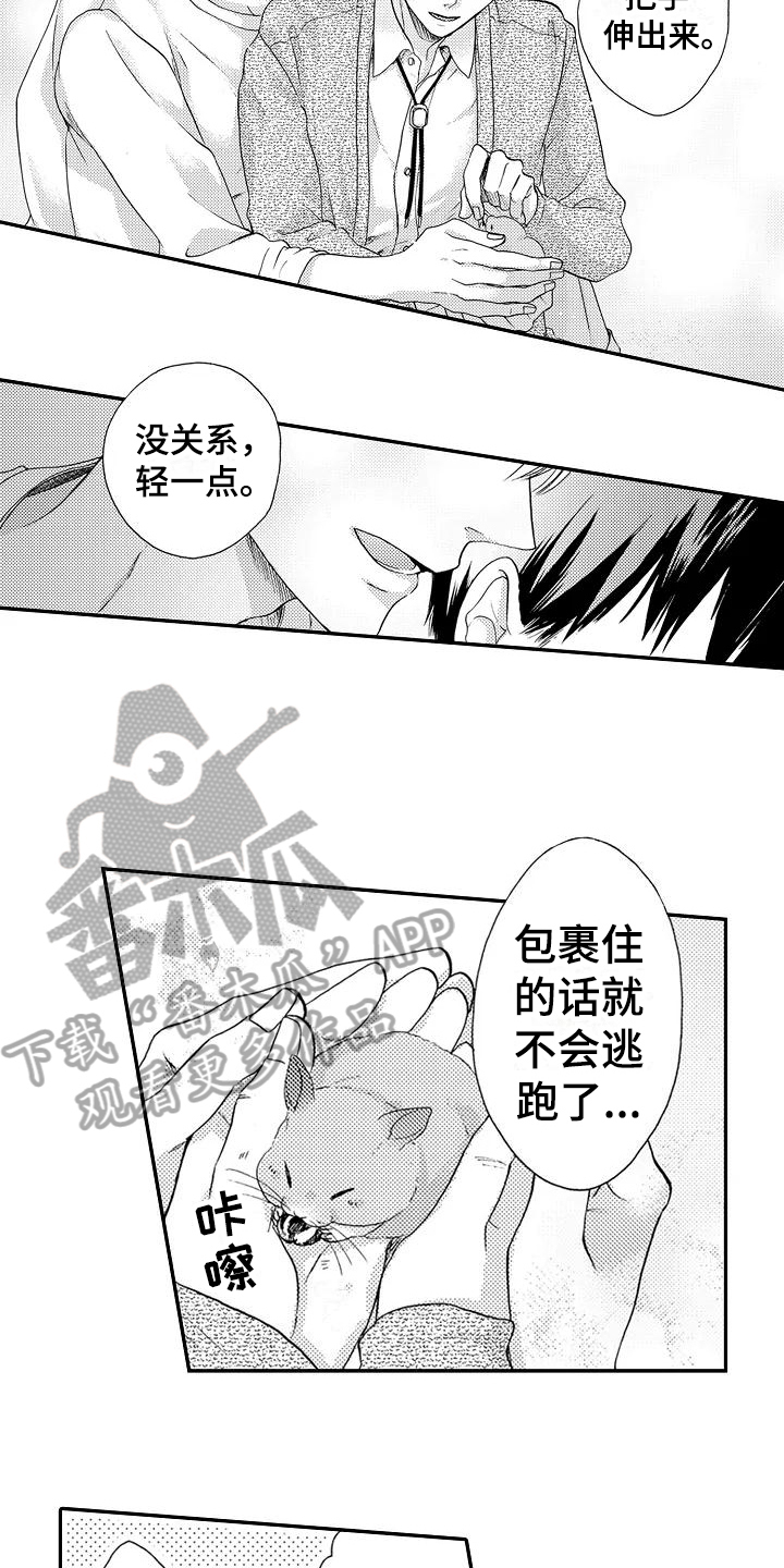 第10章：不想后悔9