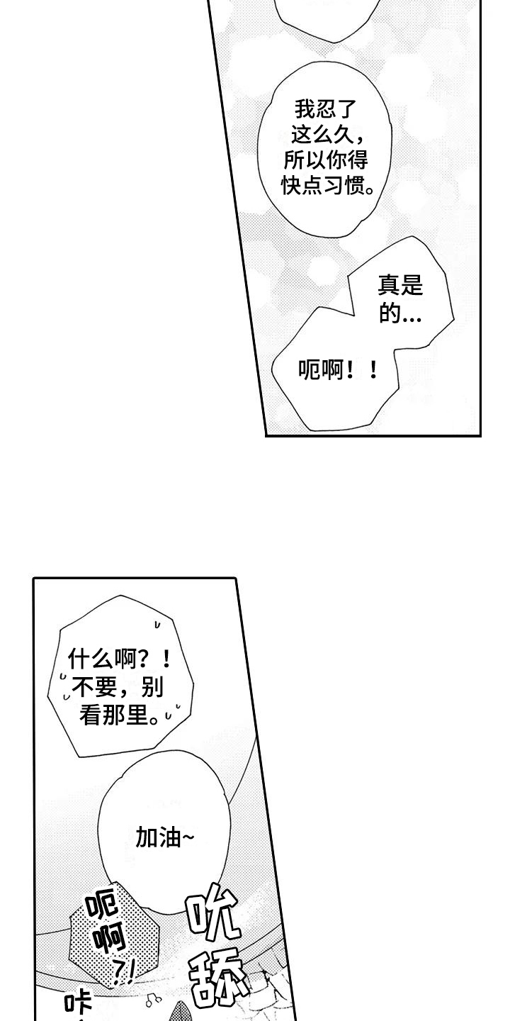 第24章：期待【完结】1