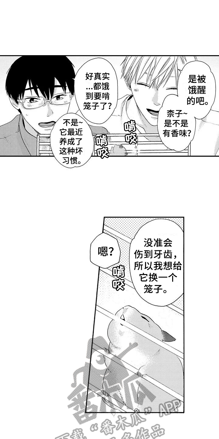 第18章：做饭11