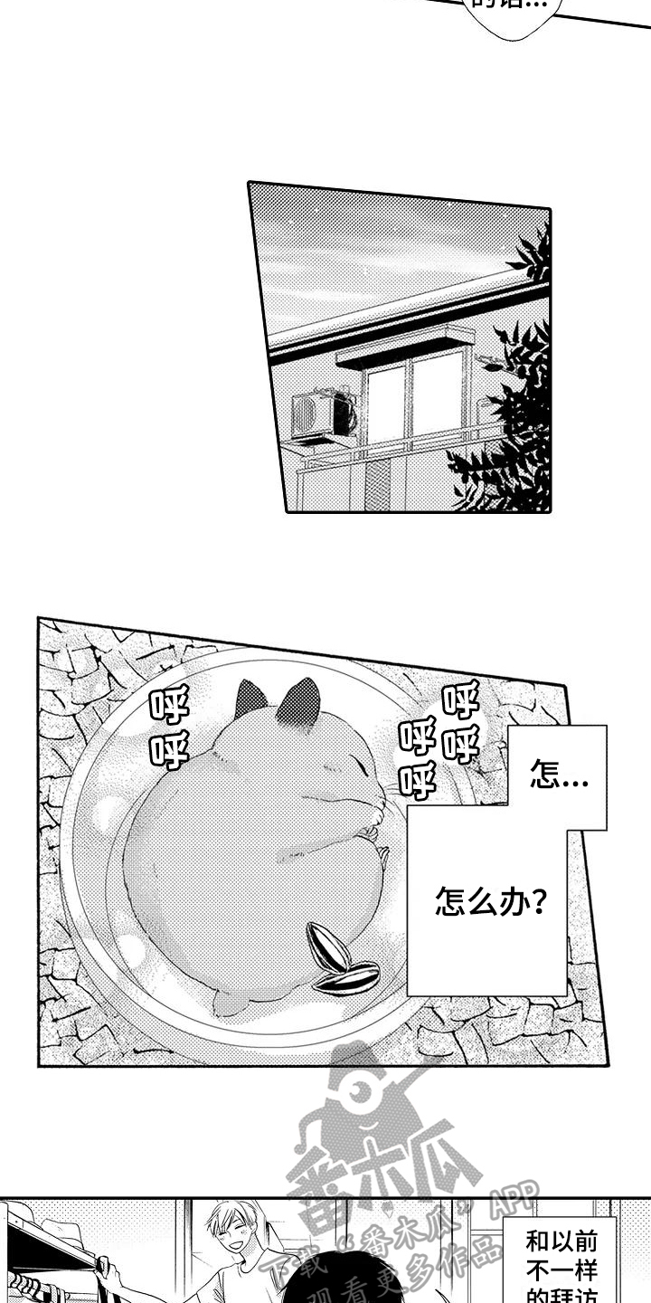 第18章：做饭1