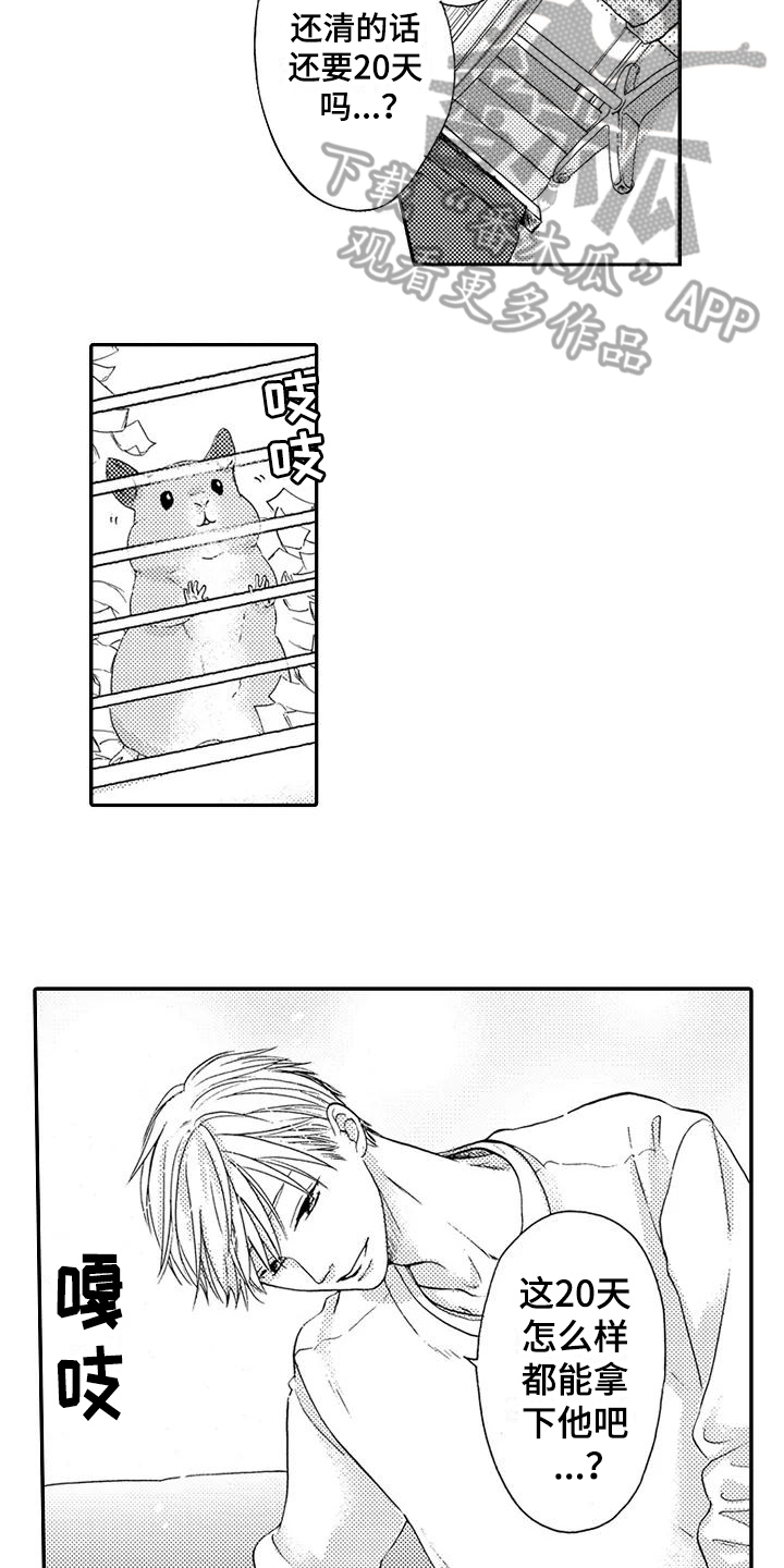 第12章：计划9
