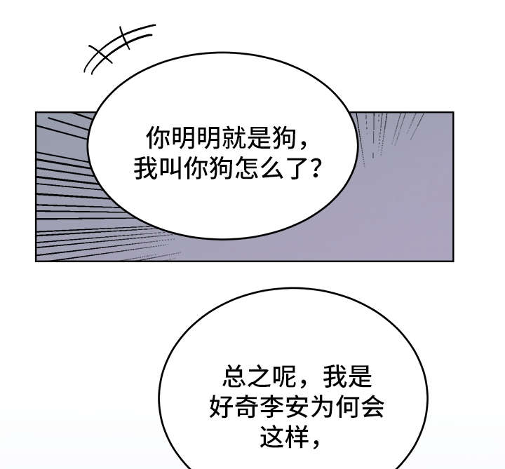 第38章：提防4