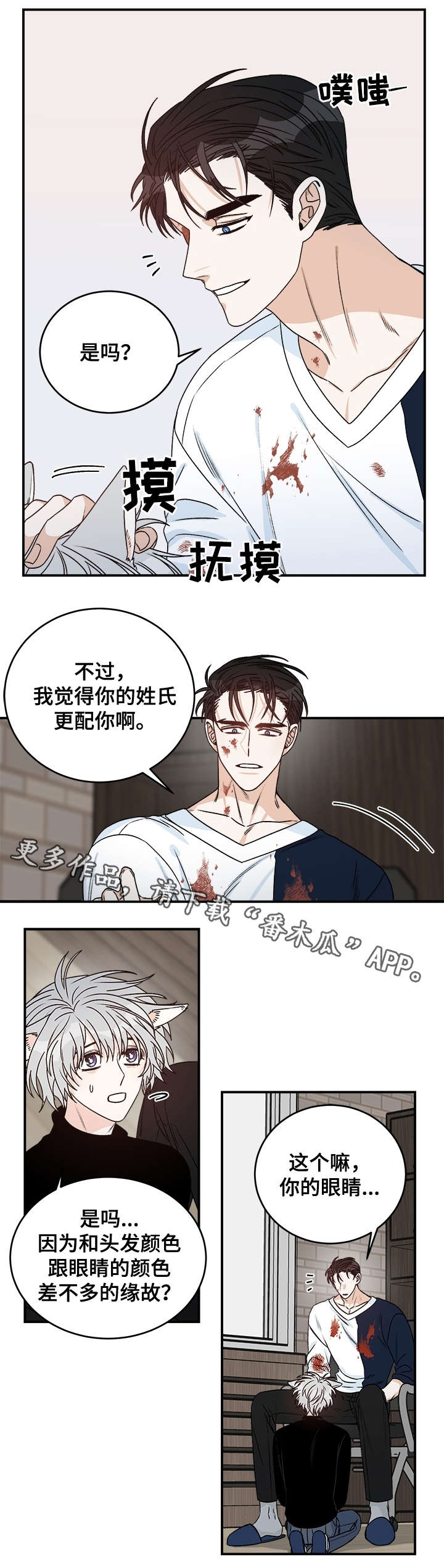 第29章：丁香5