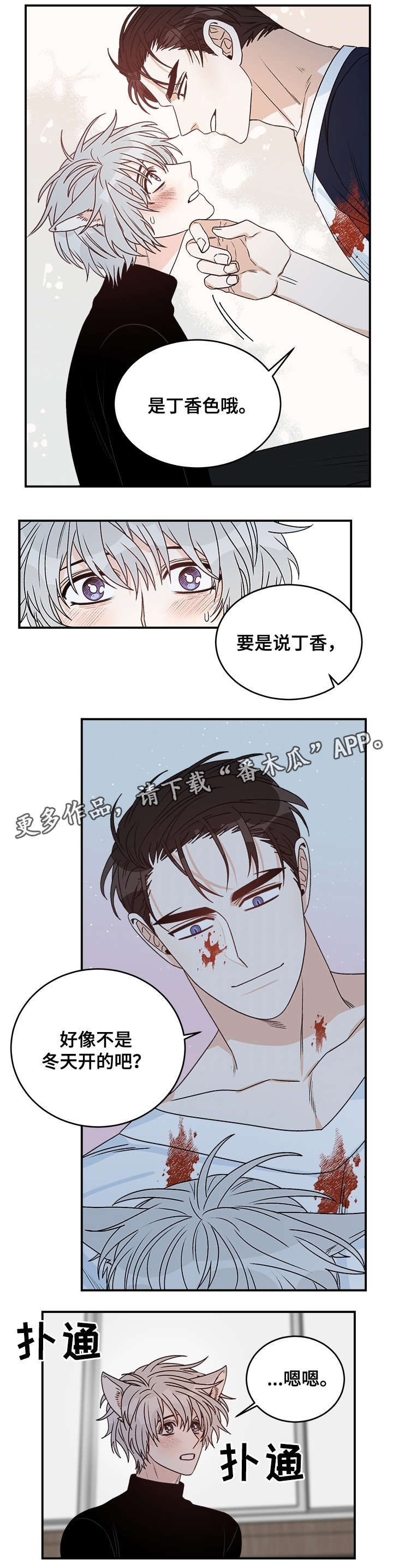 第29章：丁香6