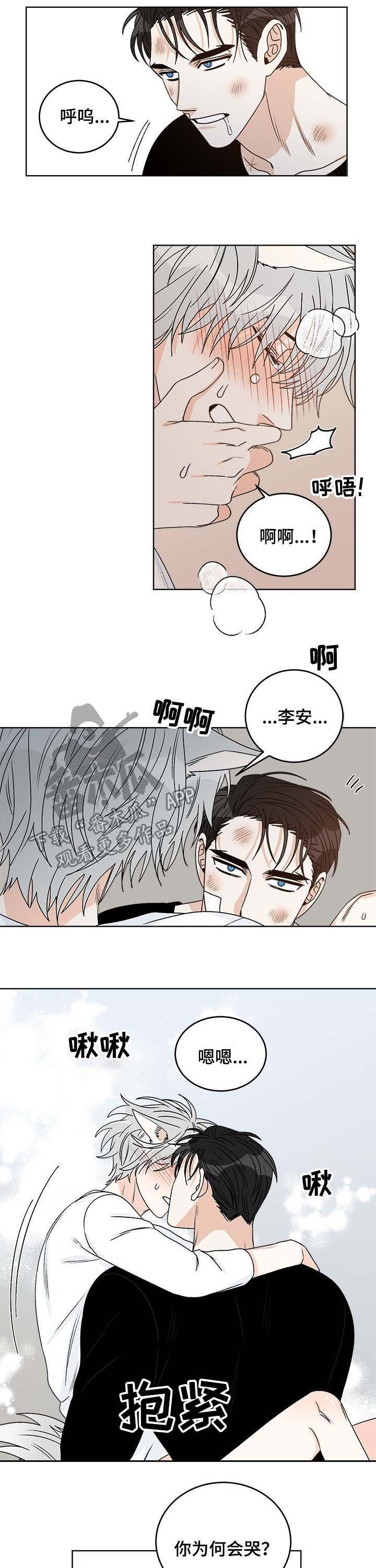第56章：你为何会哭6