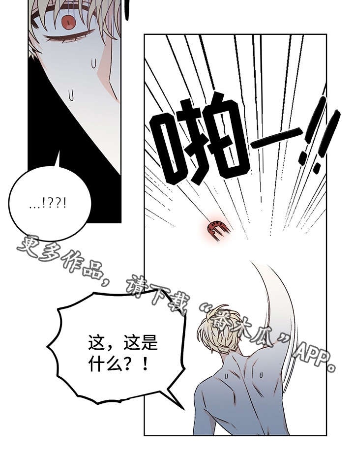 第40章：吸血21