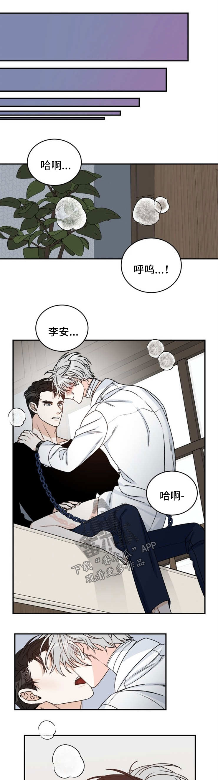 第46章：积极0