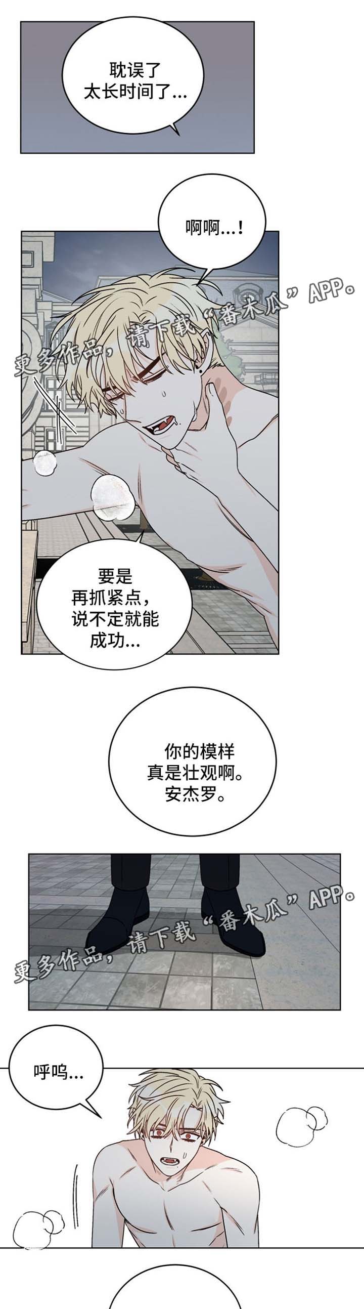 第42章：算计5