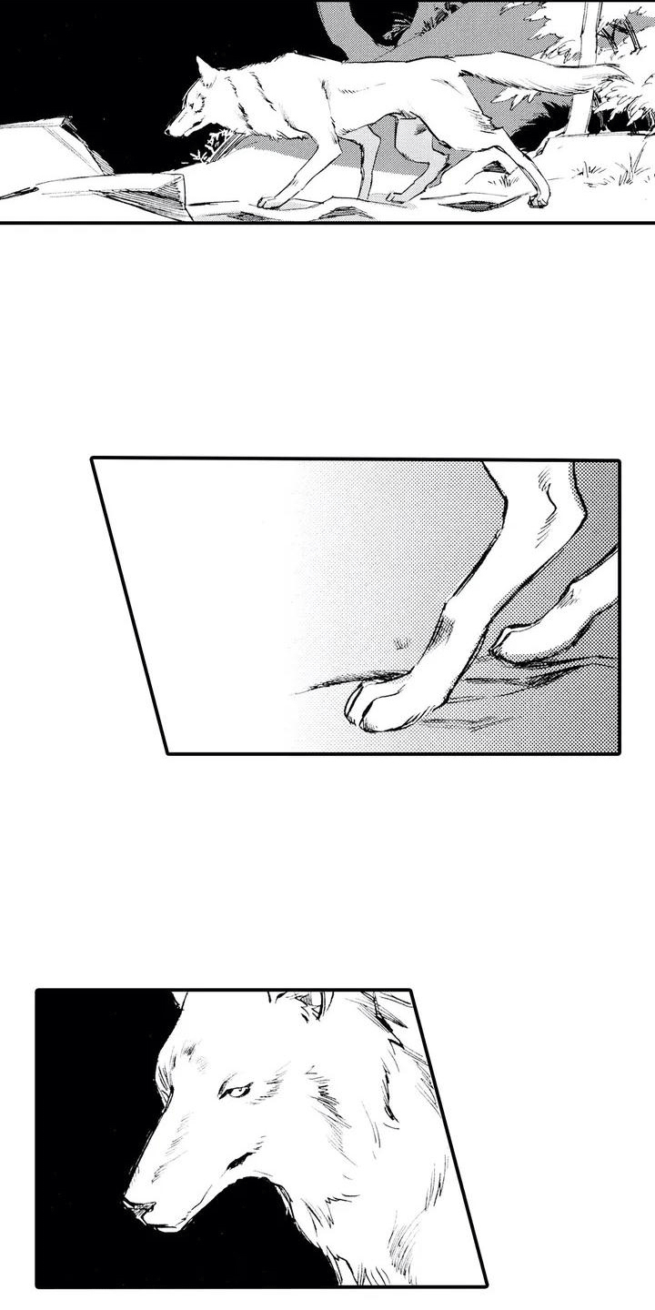 第1章：狼捡了人5